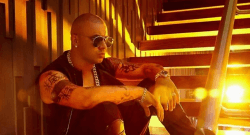 Wisin